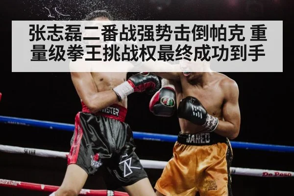张志磊二番战强势击倒帕克 重量级拳王挑战权最终成功到手
