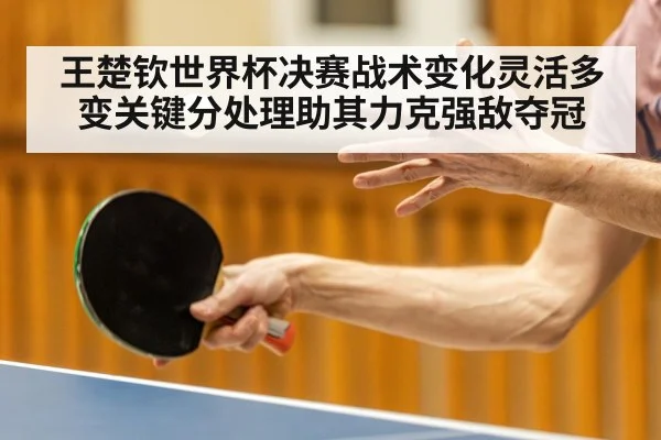 王楚钦世界杯决赛战术变化灵活多变关键分处理助其力克强敌夺冠